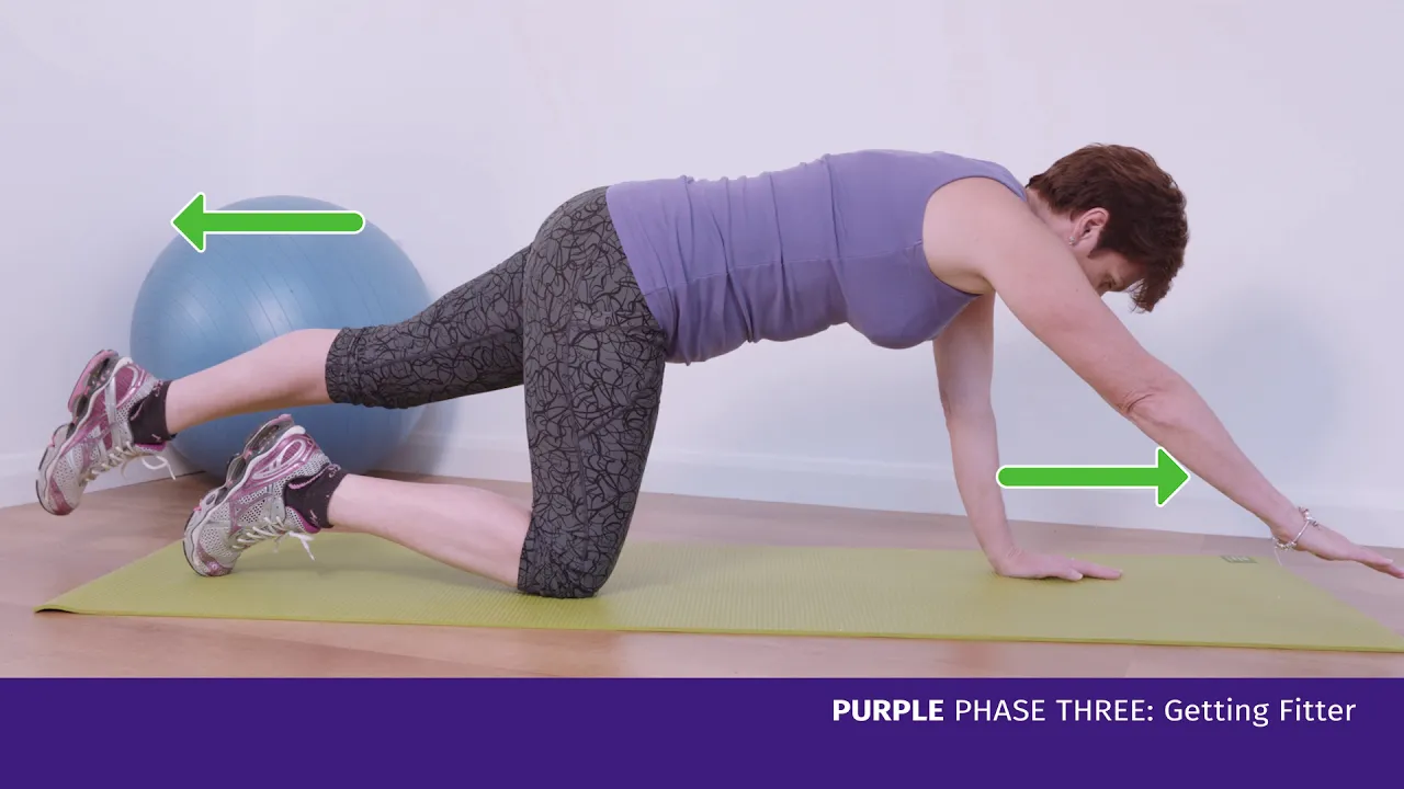 uma mulher fazendo um exercício